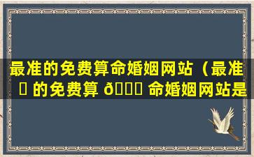 最准的免费算命婚姻网站（最准 ☘ 的免费算 🐒 命婚姻网站是哪个）